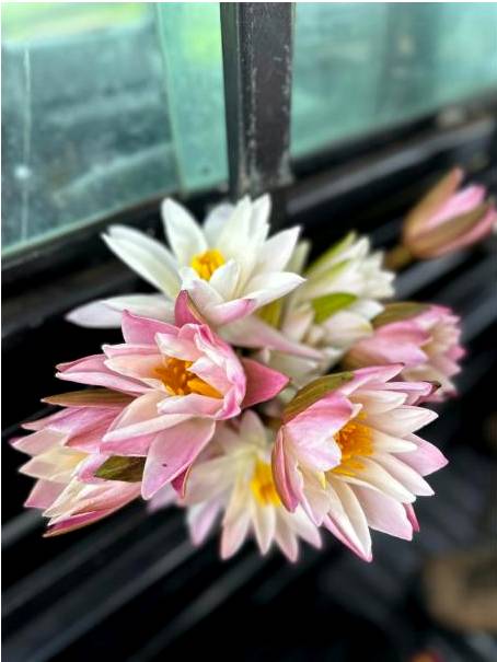 Fresh seasonal bouquet on wooden table