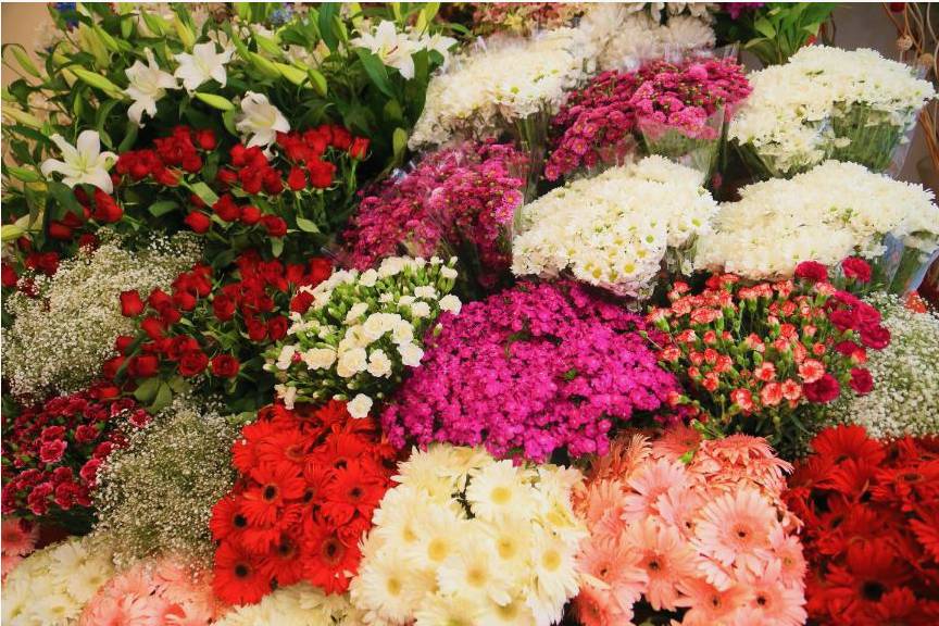 Field of seasonal flowers at sunrise