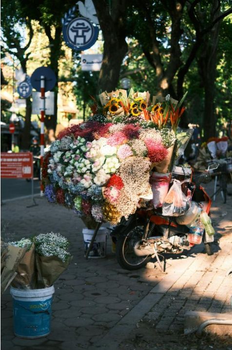 Luxury bouquets
