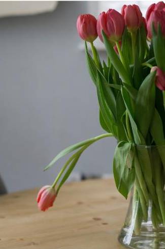 Peony hero