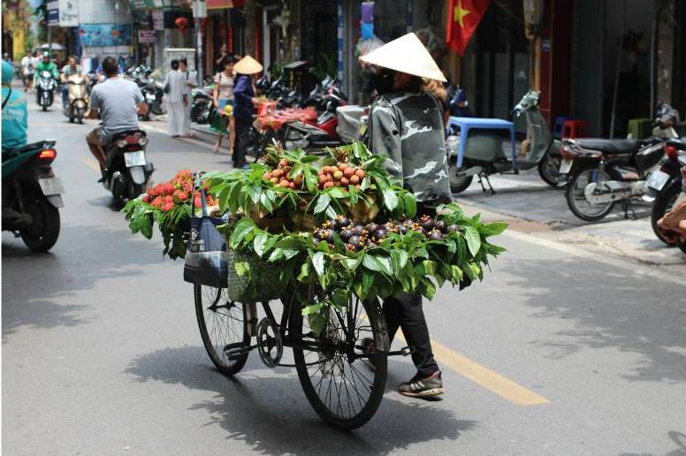 Peony care