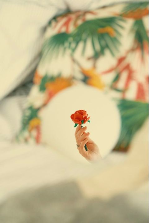 Elegantly arranged sympathy wreath